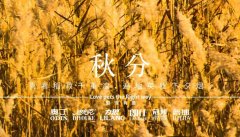 秋分丨晝夜分畫，漸入秋華