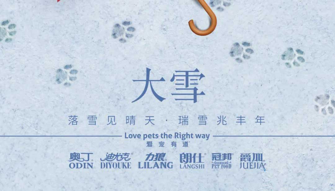 大雪丨雪落知寒意 久伴見初心！