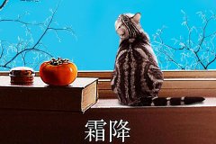 霜降丨縱然霜華盡染，心中美好如初