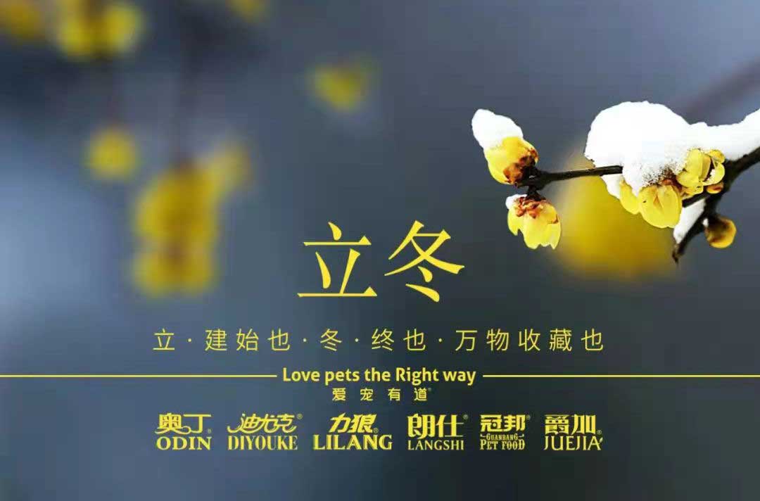 立冬丨冬寒初始，情暖愈濃