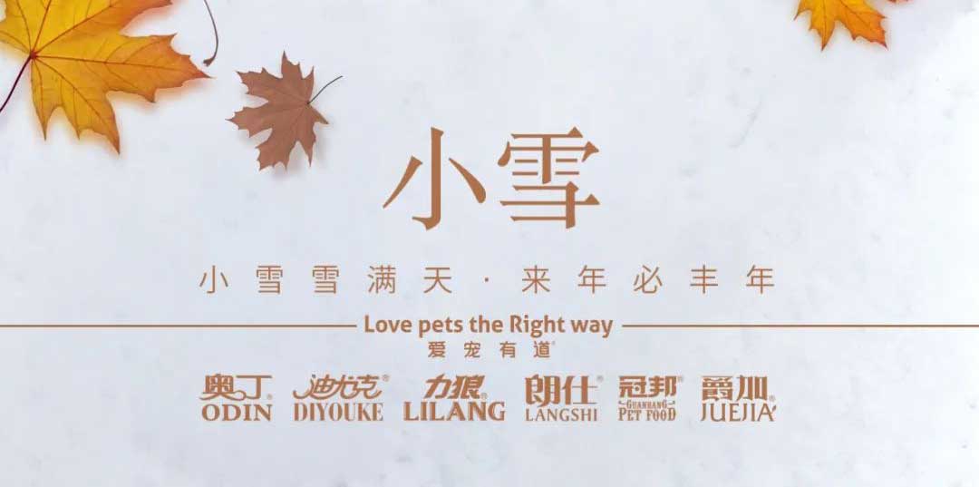 小雪丨天地初寒，歲月安暖